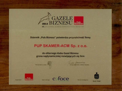 Klub Gazel Biznesu 2013